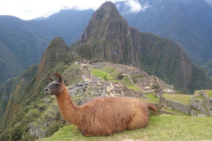 Machu Picchu Day Trip from Cusco, Full-Day Tour - photo